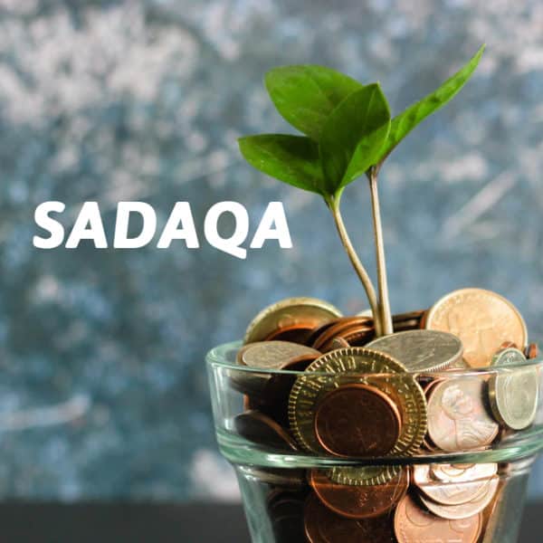 Products705x705sadaqa