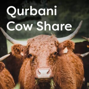 Qurbani_Website_Product_2022